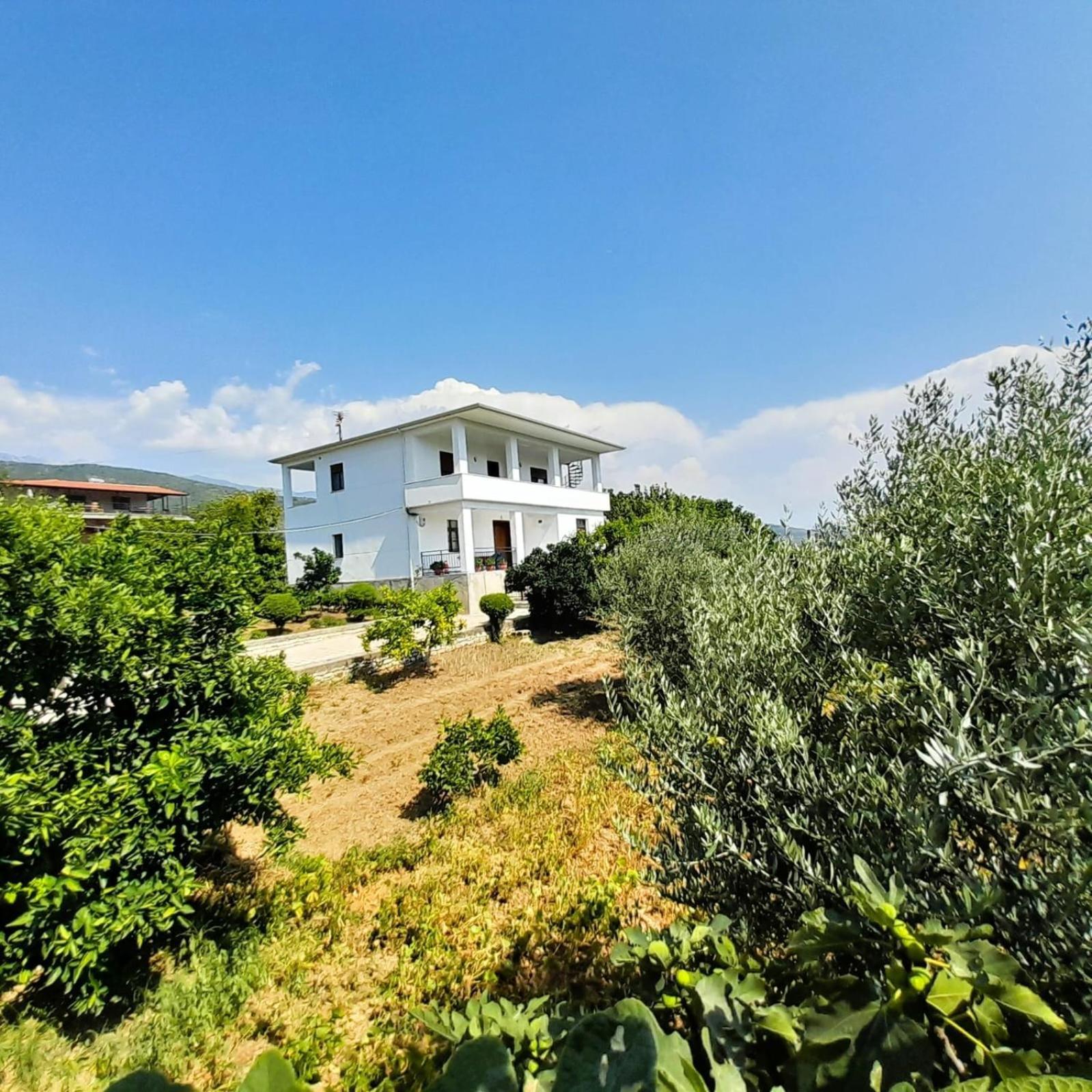 Villa Besart Berat Eksteriør billede